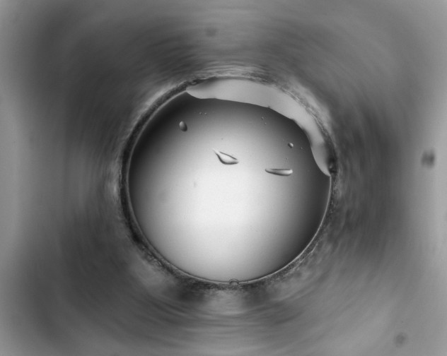 X0000102540107200808151652