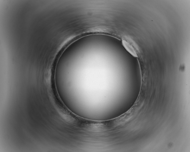 X0000102540108200808151652