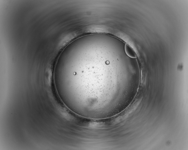 X0000102540109200808151652