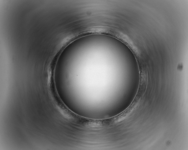 X0000102540110200808151652