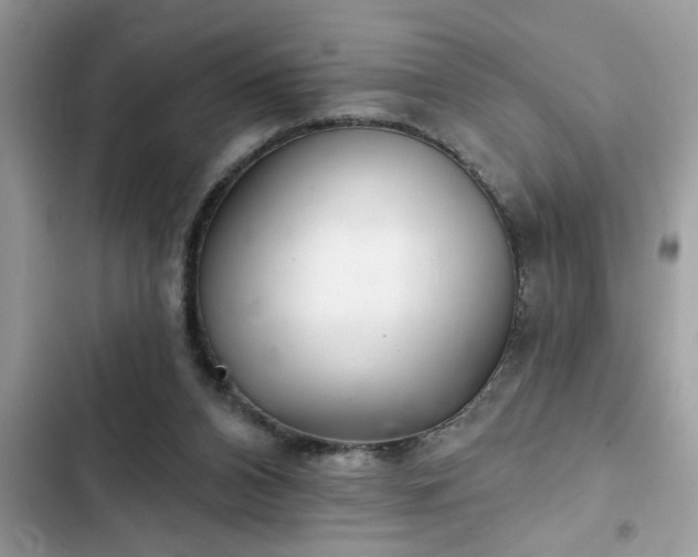 X0000102540112200808151652