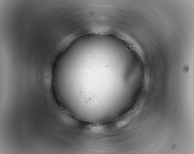 X0000102540113200808151652