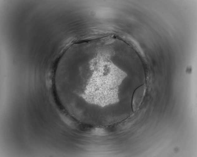X0000102540114200808151652