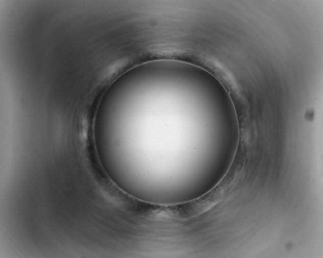 X0000102540115200808151652