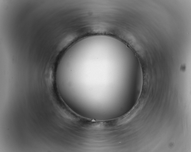 X0000102540116200808151652
