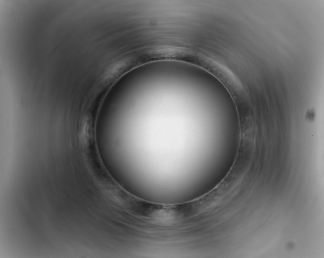 X0000102540119200808151651