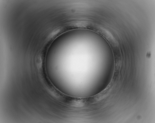 X0000102540120200808151651