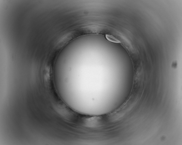 X0000102540122200808151651