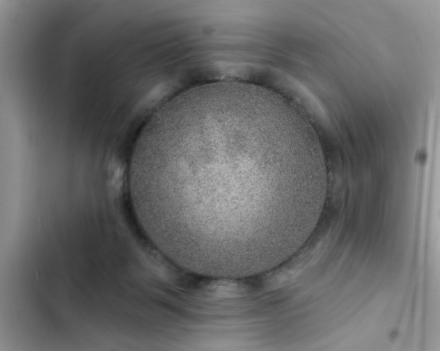 X0000102540123200808151651