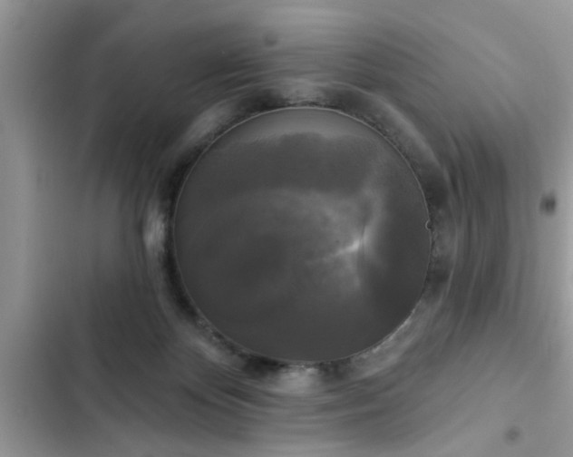X0000102540124200808151651