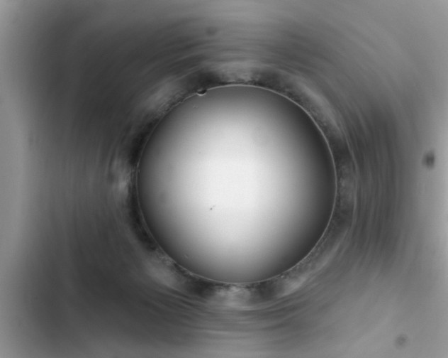X0000102540125200808151651