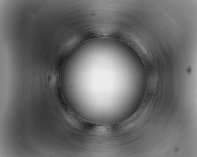 X0000102540126200808151651