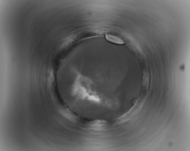 X0000102540128200808151651
