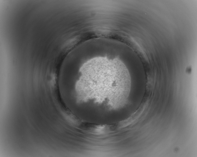 X0000102540130200808151651