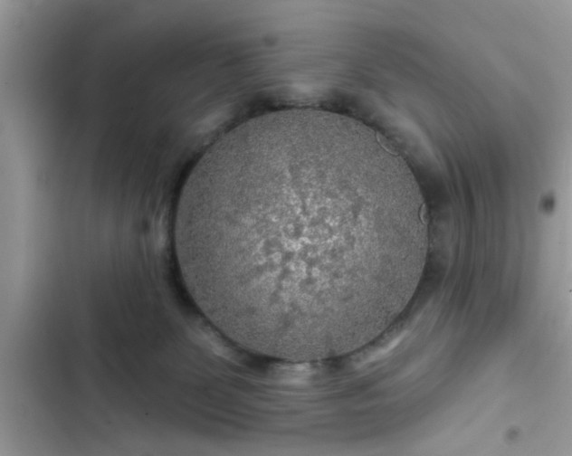 X0000102540131200808151651