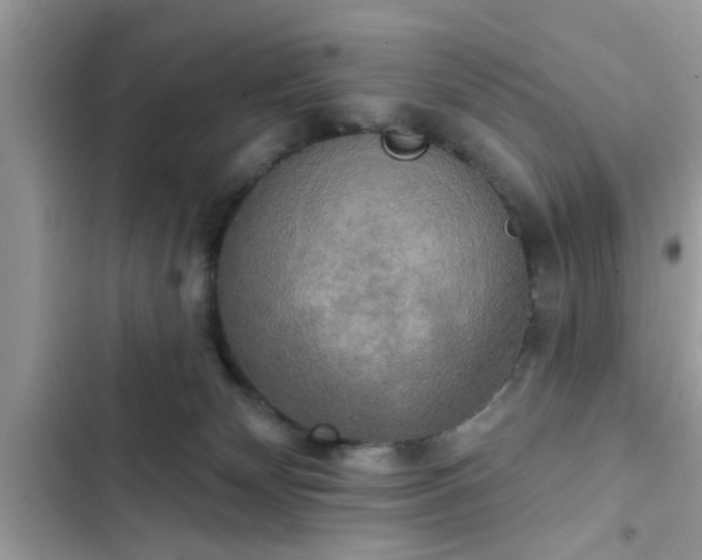 X0000102540132200808151651