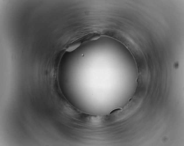 X0000102540134200808151651