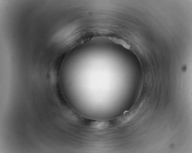 X0000102540135200808151651