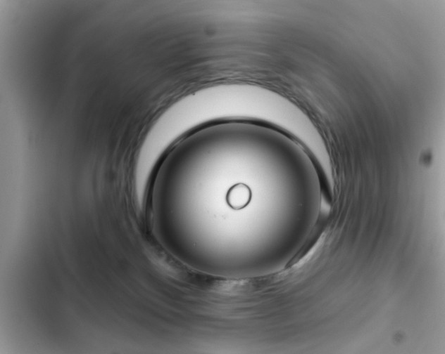 X0000102540136200808151651