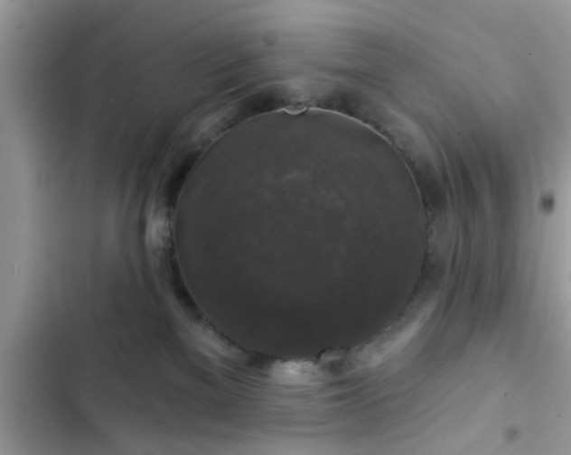 X0000102540137200808151651