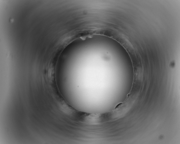 X0000102540138200808151651