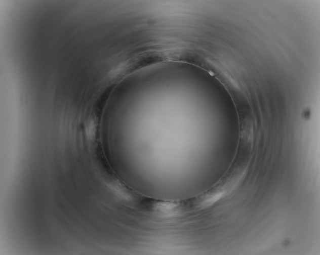 X0000102540139200808151651