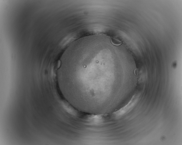 X0000102540140200808151651