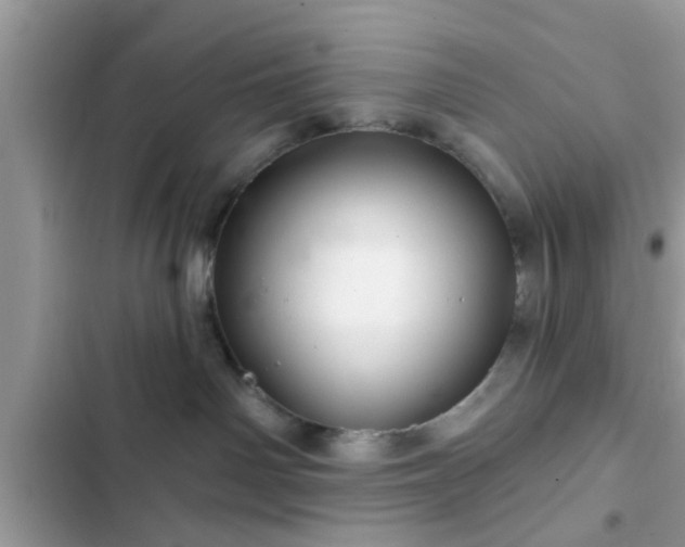 X0000102540142200808151651