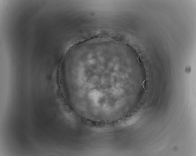 X0000102540144200808151651