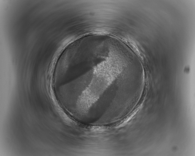 X0000102540145200808151650