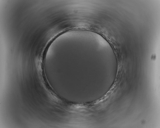 X0000102540146200808151650