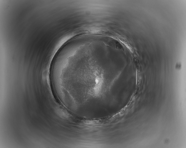 X0000102540147200808151650