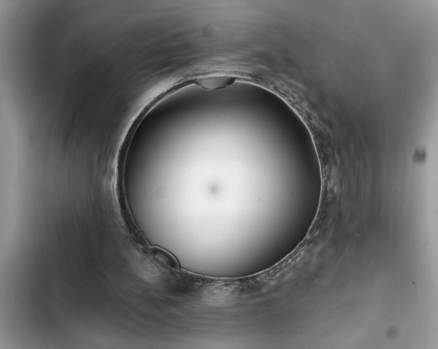 X0000102540148200808151650