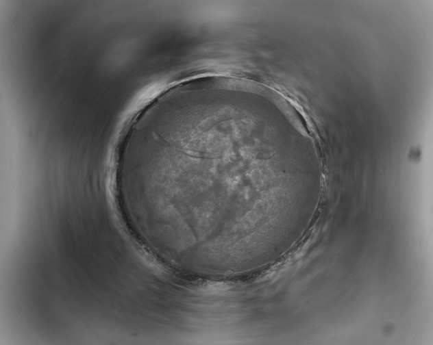 X0000102540149200808151650