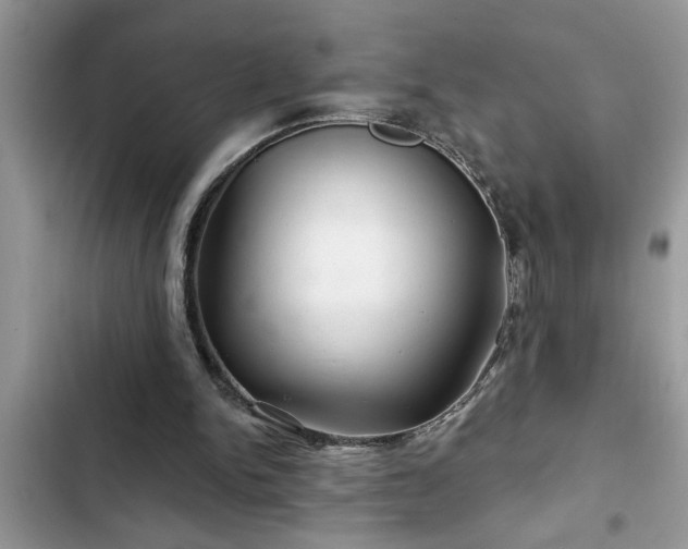 X0000102540150200808151650