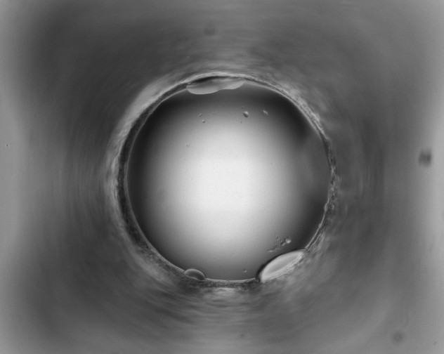 X0000102540151200808151650
