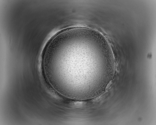X0000102540152200808151650