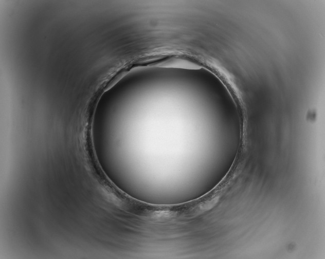 X0000102540153200808151651