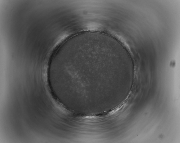 X0000102540154200808151651