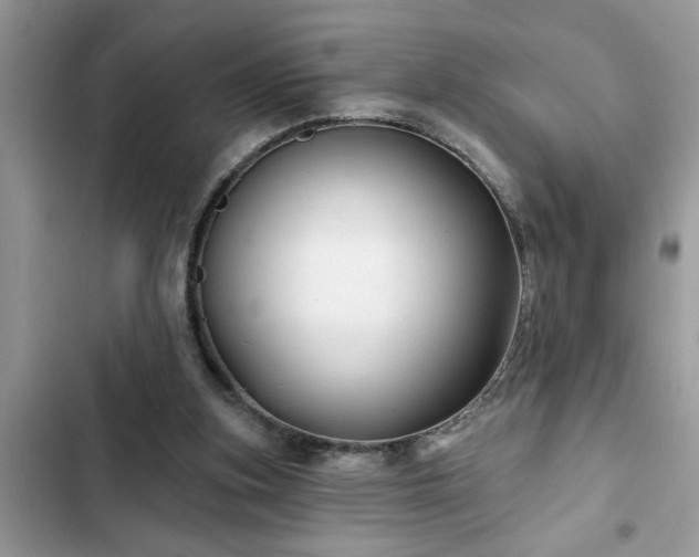 X0000102540155200808151651