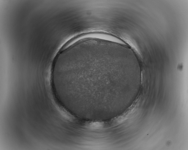 X0000102540156200808151651