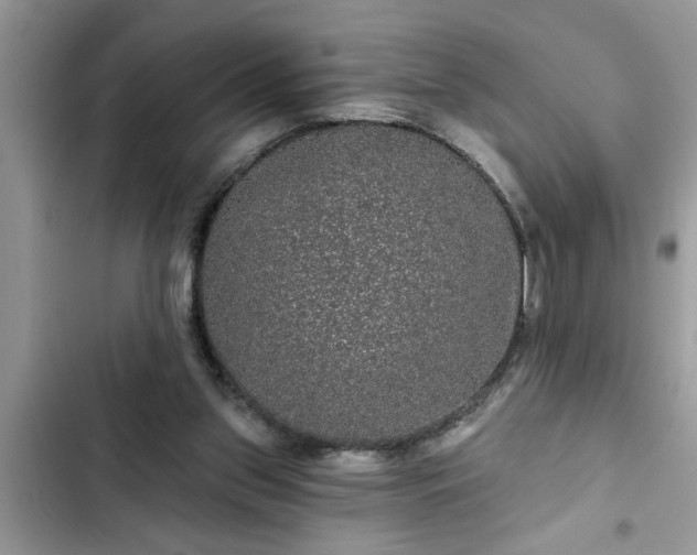 X0000102540157200808151651