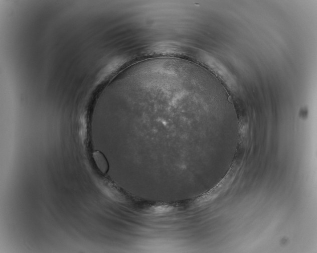 X0000102540158200808151651