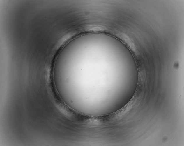 X0000102540159200808151651