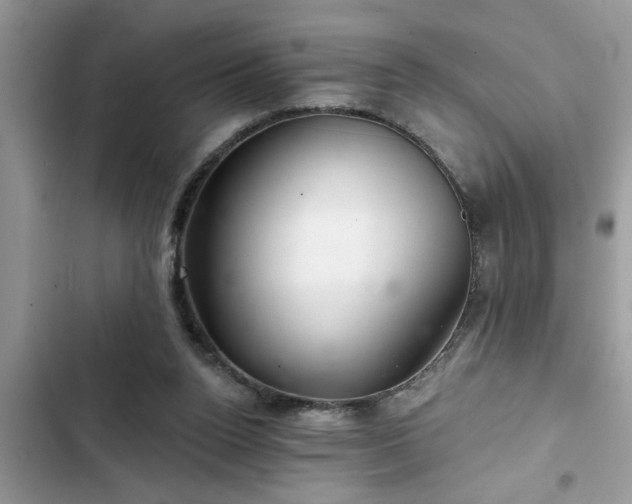 X0000102540160200808151651