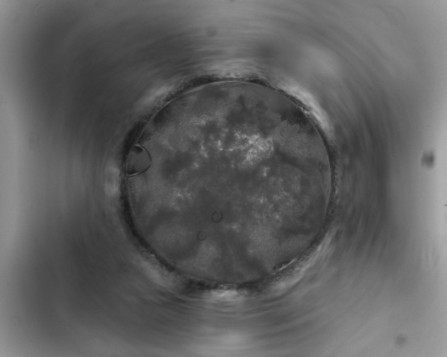 X0000102540161200808151651