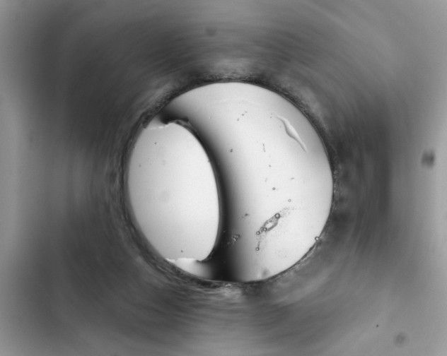 X0000102540162200808151651