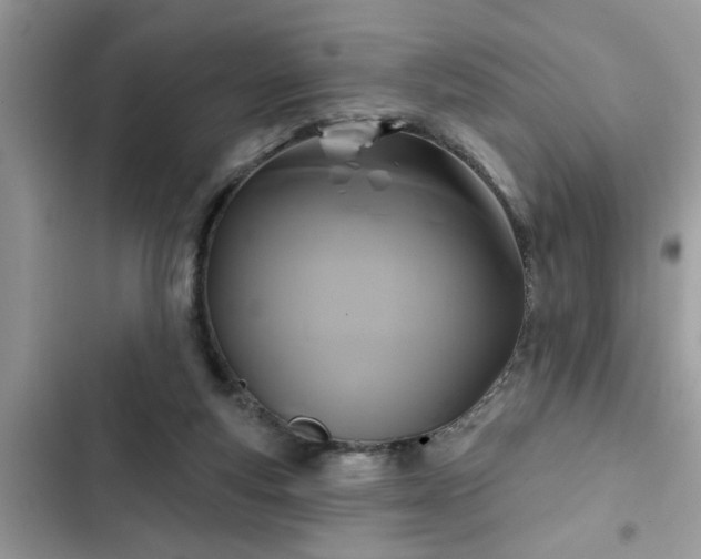 X0000102540163200808151651