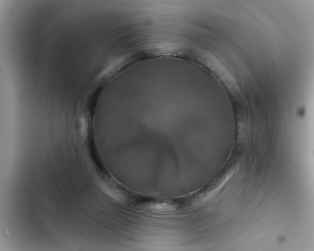 X0000102540165200808151651