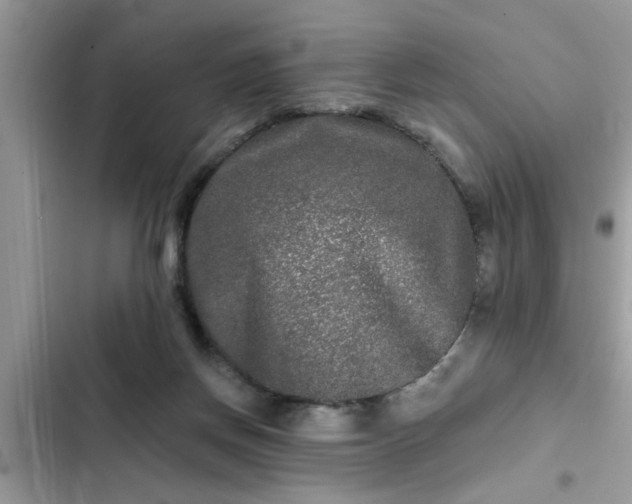 X0000102540166200808151651